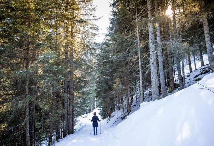 בית מלון כפרי Platz
