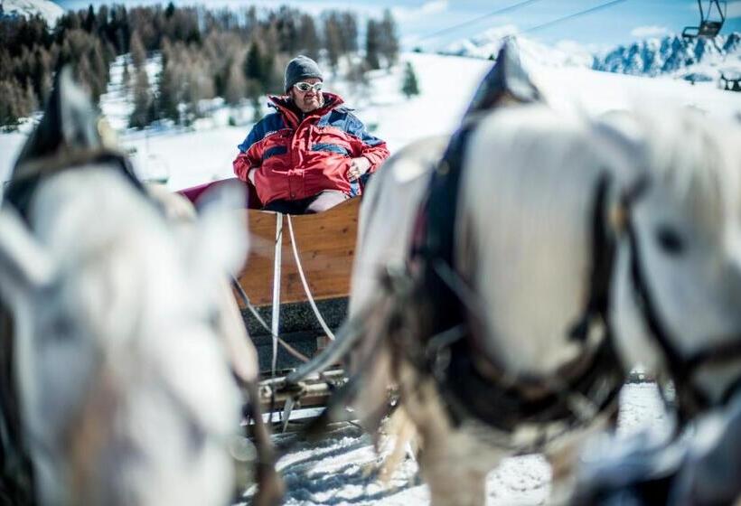 בית מלון כפרי Platz