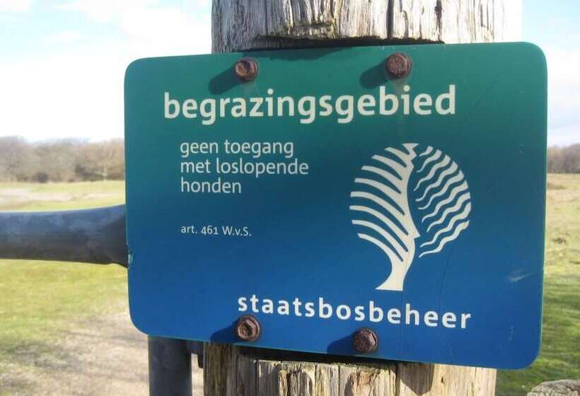 ホテル Restaurant Anno Nu