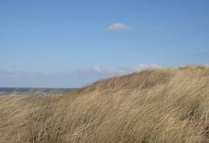 ホテル Restaurant Anno Nu