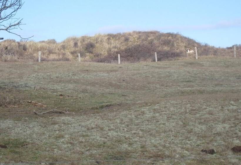 ホテル Restaurant Anno Nu