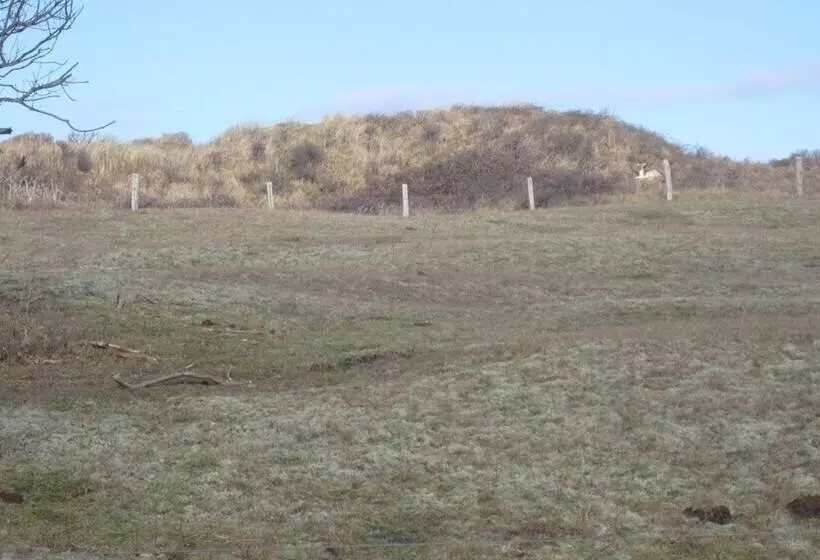 ホテル Restaurant Anno Nu