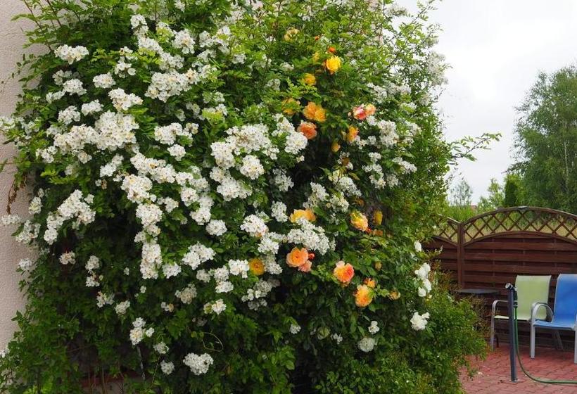 בית מלון כפרי Riviera