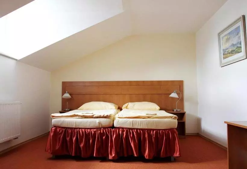 هتل Slavia Tábor