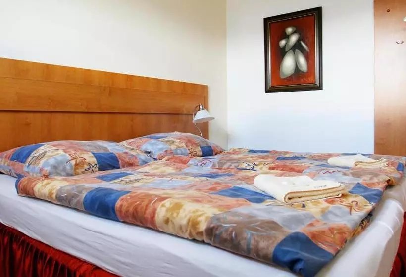 هتل Slavia Tábor