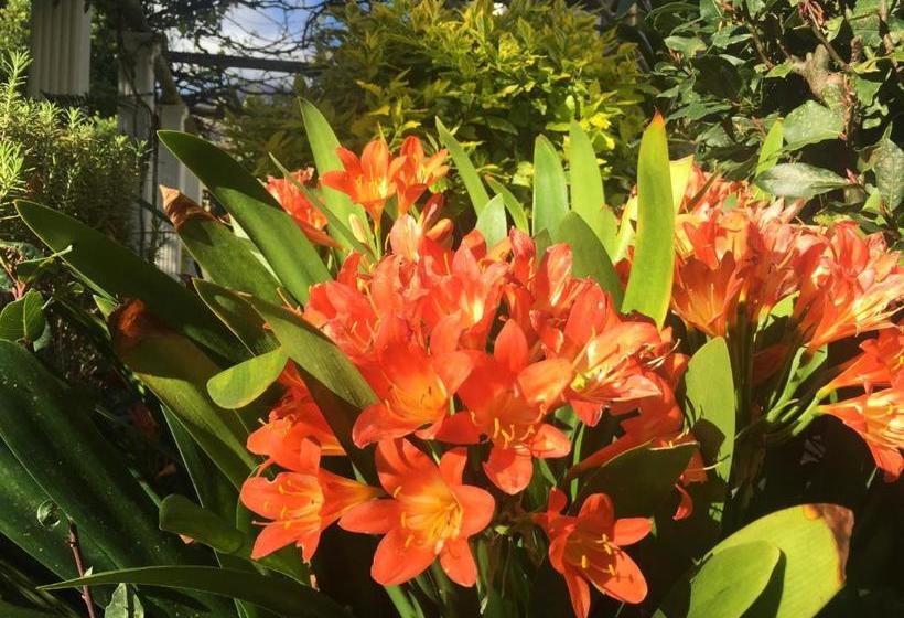 פנסיון 4-heaven Guest House