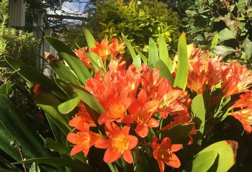 펜션 4-heaven Guest House