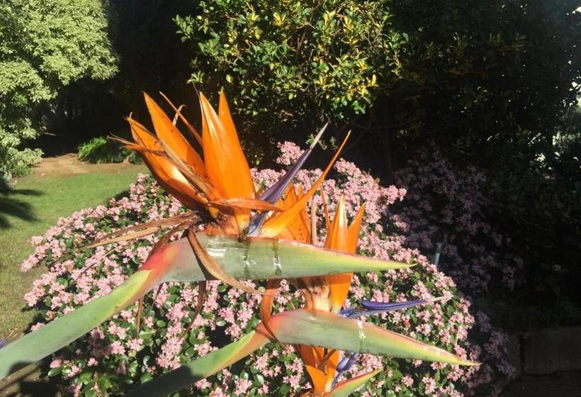 פנסיון 4-heaven Guest House