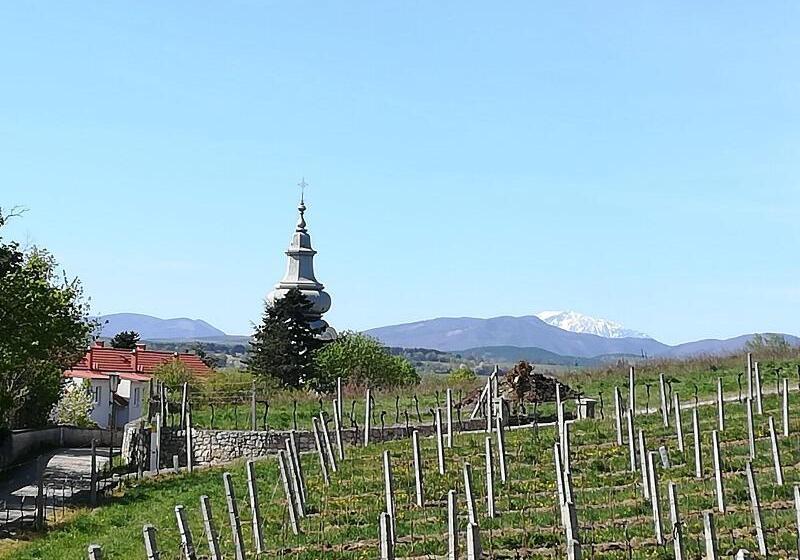Tennis Golf Hotel Höllrigl