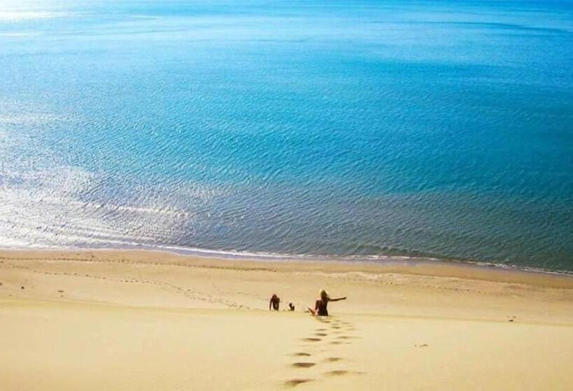 酒店 Mario, Shengjin