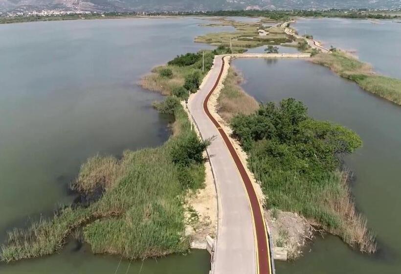 酒店 Mario, Shengjin