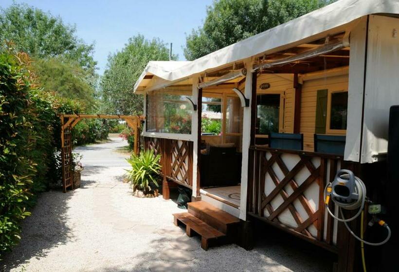 Mobilhome Les Agapanthes Au Camping Les Pins Maritimes