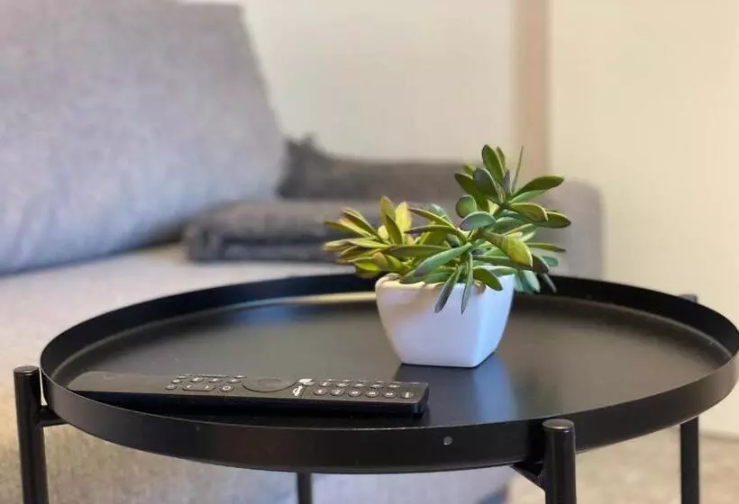 Apartamentos Mk77 León   Lahoz