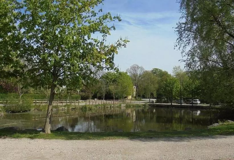 Backhaus 4