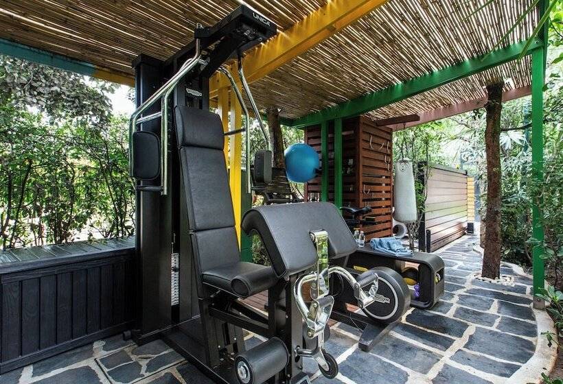 تختخواب و صبحانه The Magic Forte