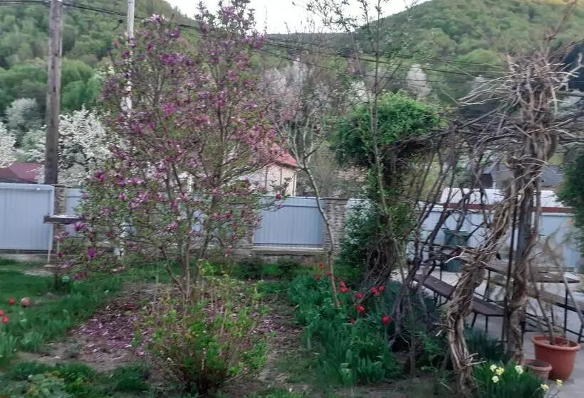 Casa Carmen