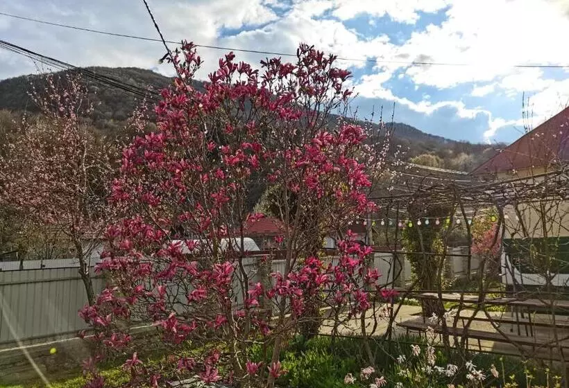 Casa Carmen
