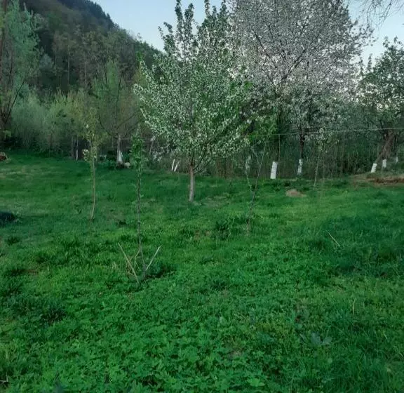 Casa Carmen
