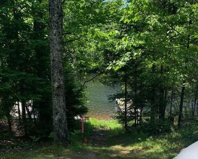 Little House In The Big Woods
