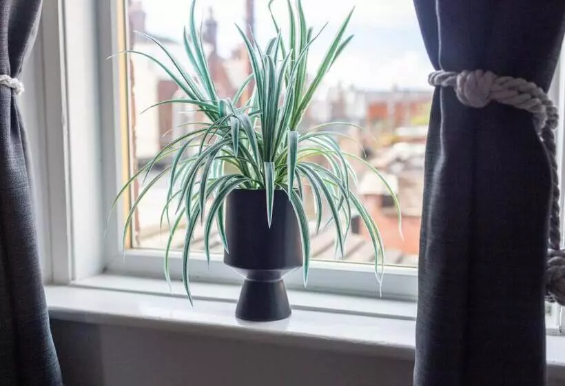 Logan House, Modern And Spacious Townhouse Close To City Centre