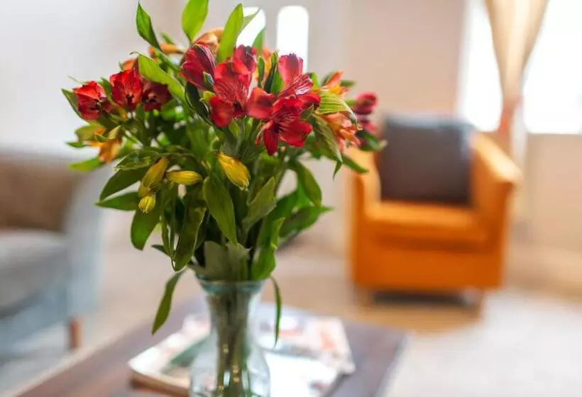 Logan House, Modern And Spacious Townhouse Close To City Centre