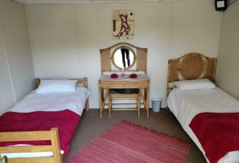 호스텔 The Joint Backpackers