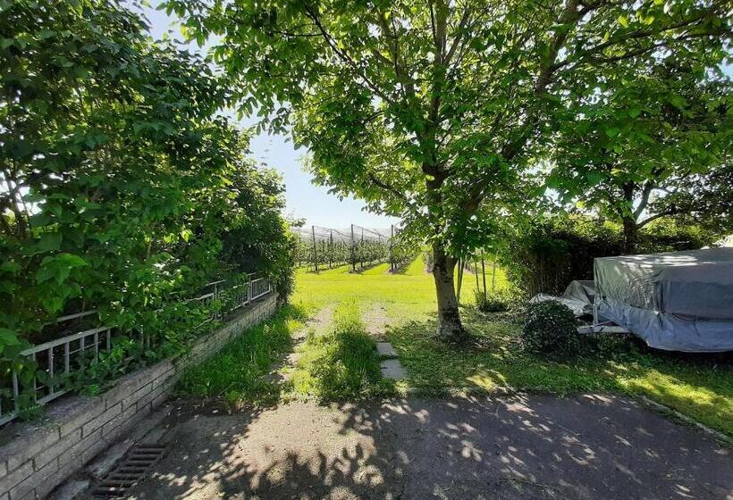 Apartment Bodenseesonne