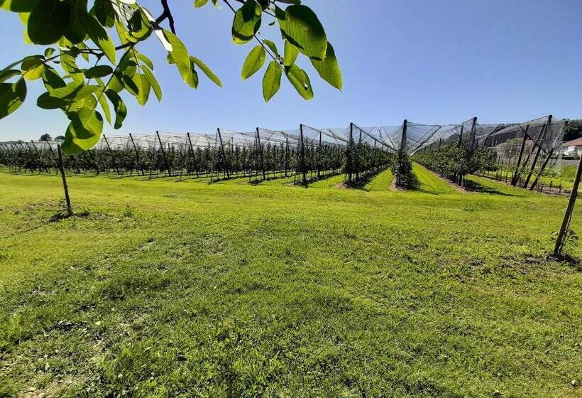 Apartment Bodenseesonne