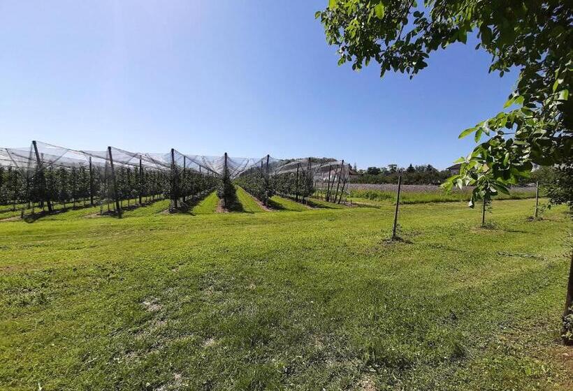 Apartment Bodenseesonne