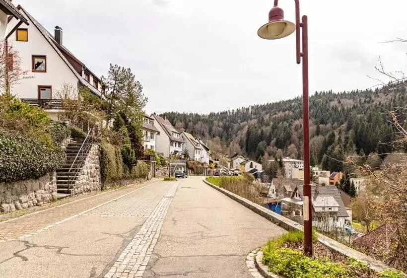 Ferienappartement Sonnenhof