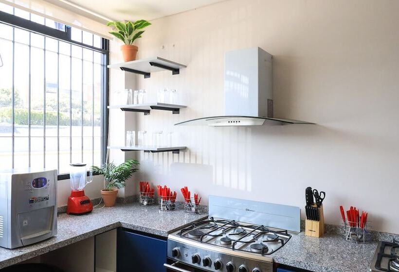 Отель Colmena Monterrey