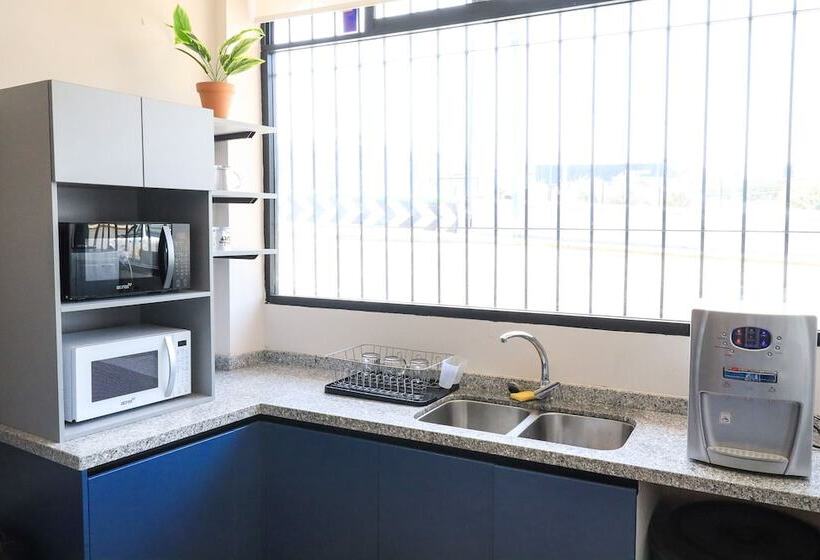 Отель Colmena Monterrey