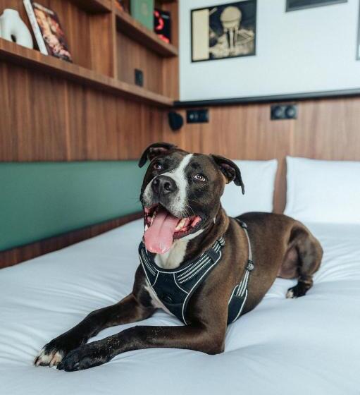 호텔 Jost Hôtel Bordeaux Centre Gare Saint Jean