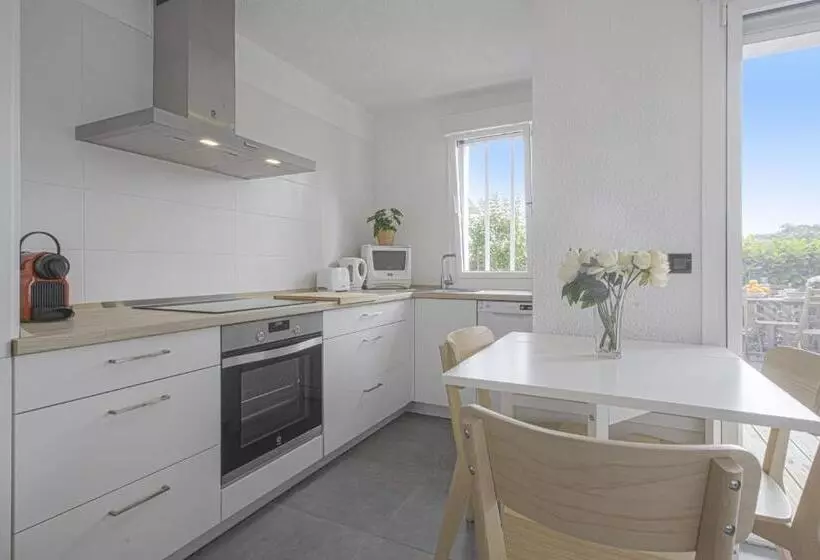 Superb Apartment With Terrace   Saint Jean De Luz   Welkeys