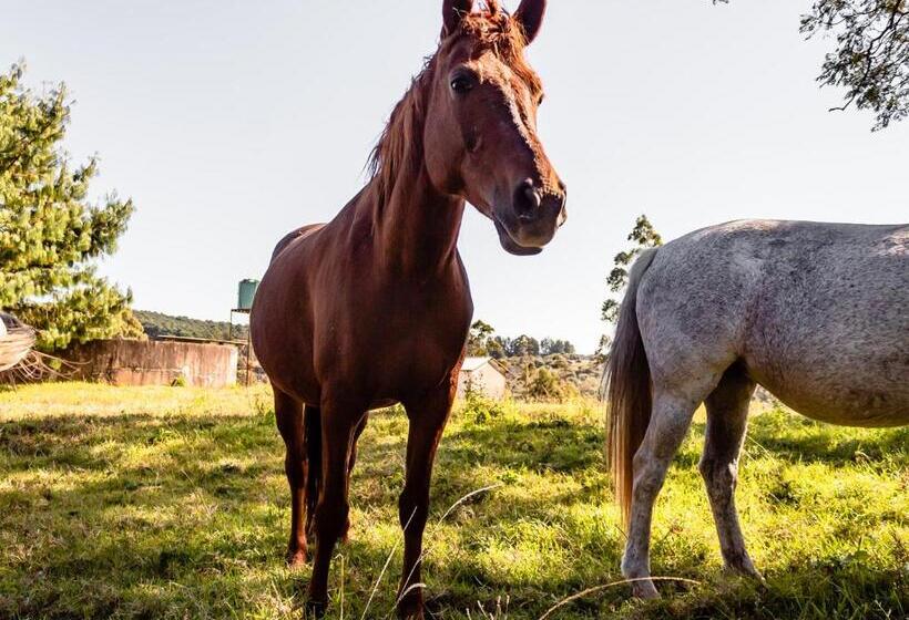 Wellstead Country Manor