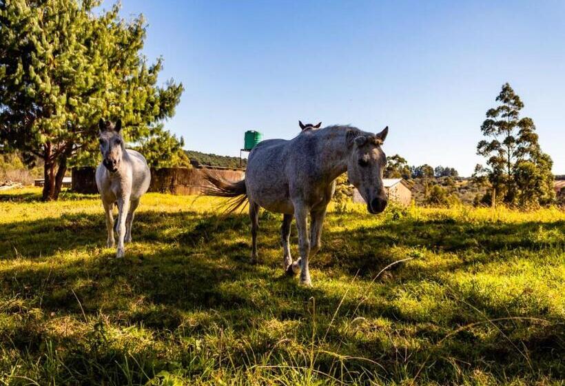 Wellstead Country Manor