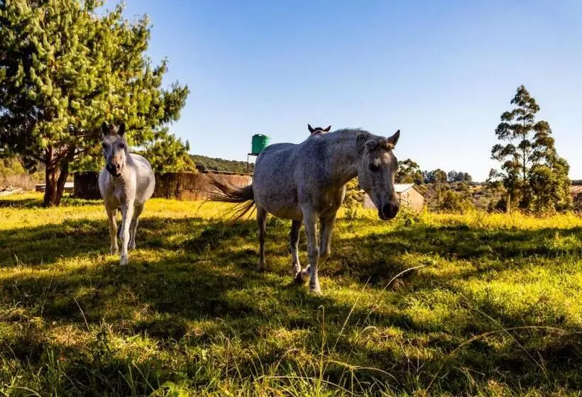 Wellstead Country Manor