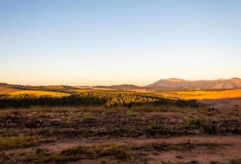 Wellstead Country Manor