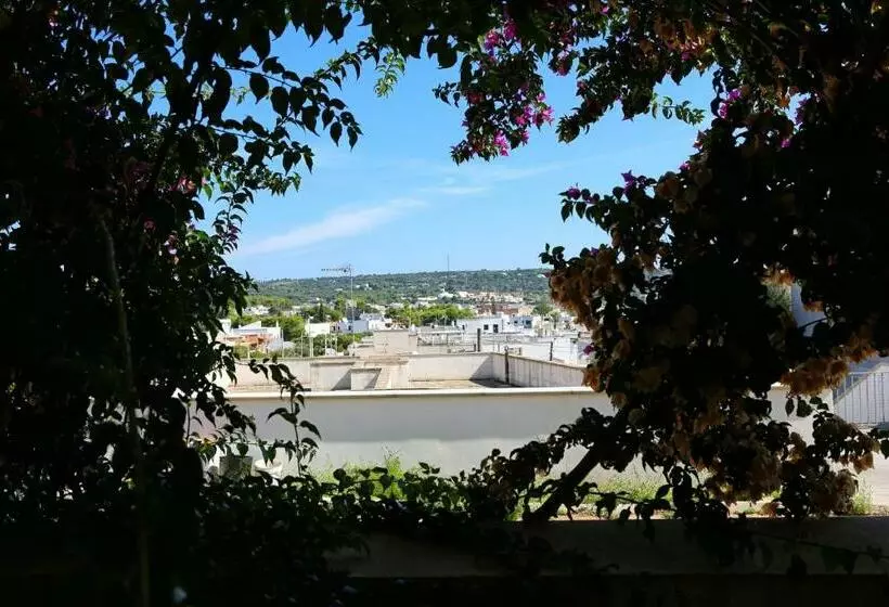 Appartamenti Marinelli   Santa Maria Di Leuca