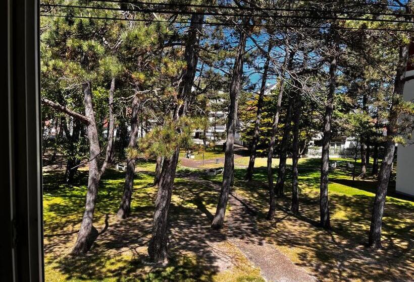 Bruyère Blanche Le Touquet Paris Plage