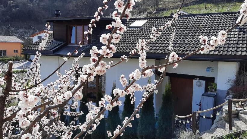 Grand Chalet 6 8 Personnes, Ski Et Randonnées