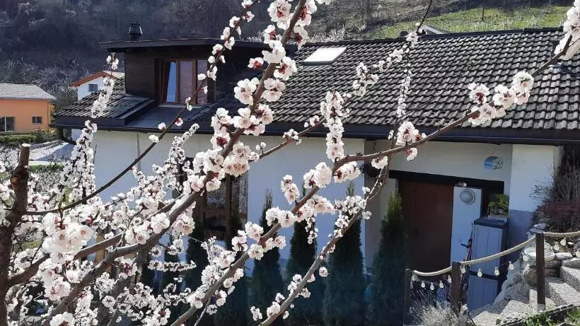 Grand Chalet 6 8 Personnes, Ski Et Randonnées