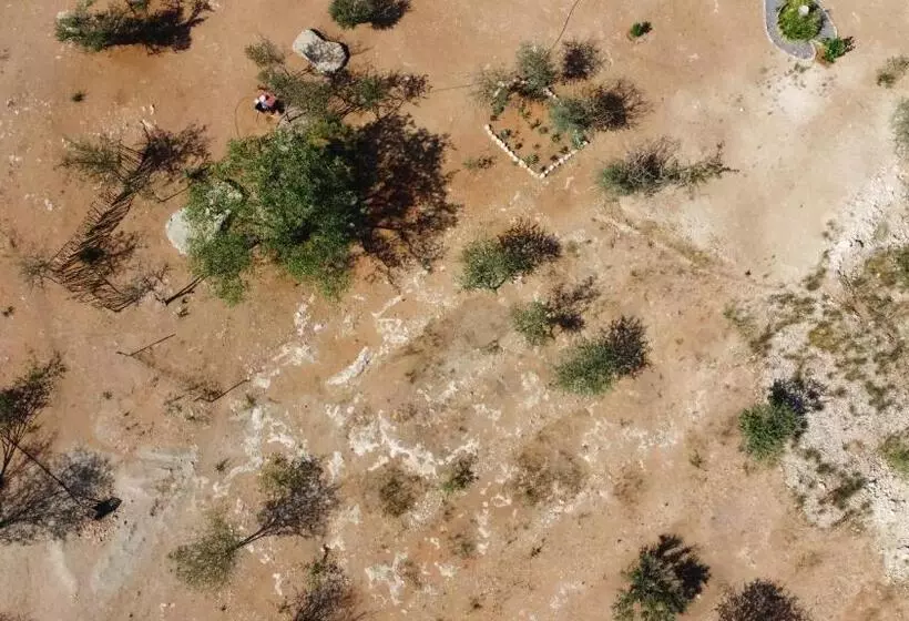 پانسیون The Farmhouse Boutique Guesthouse And Beergarden Cc