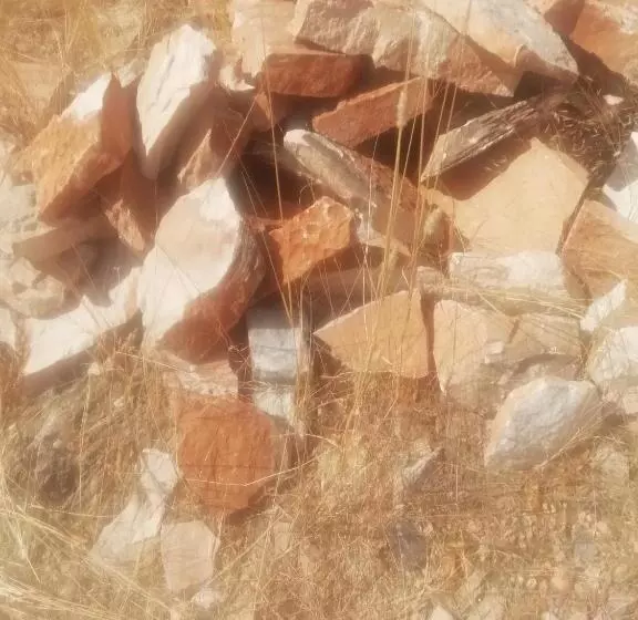 پانسیون The Farmhouse Boutique Guesthouse And Beergarden Cc