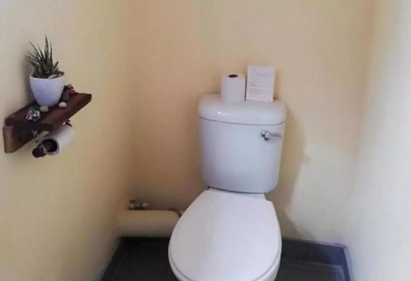 پانسیون The Farmhouse Boutique Guesthouse And Beergarden Cc