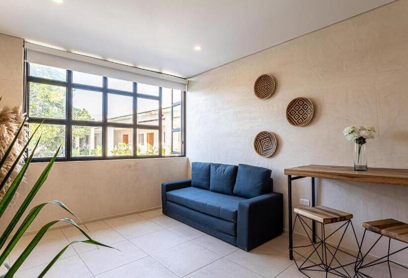 Soy Local Santa Marta