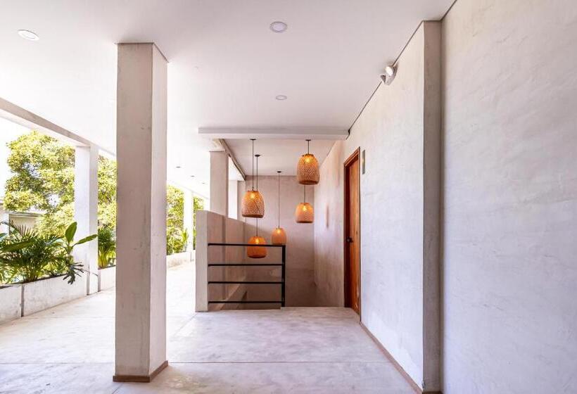 Soy Local Santa Marta