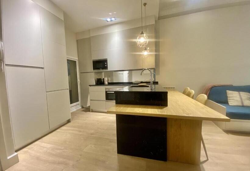 For You Rentals Apartment With Beautiful Private Terrace In The Center Of Madrid Car19