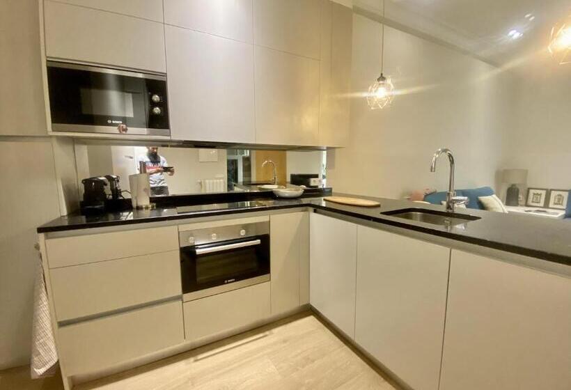 For You Rentals Apartment With Beautiful Private Terrace In The Center Of Madrid Car19