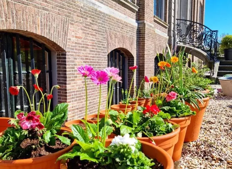 B&b Huis Der Boede